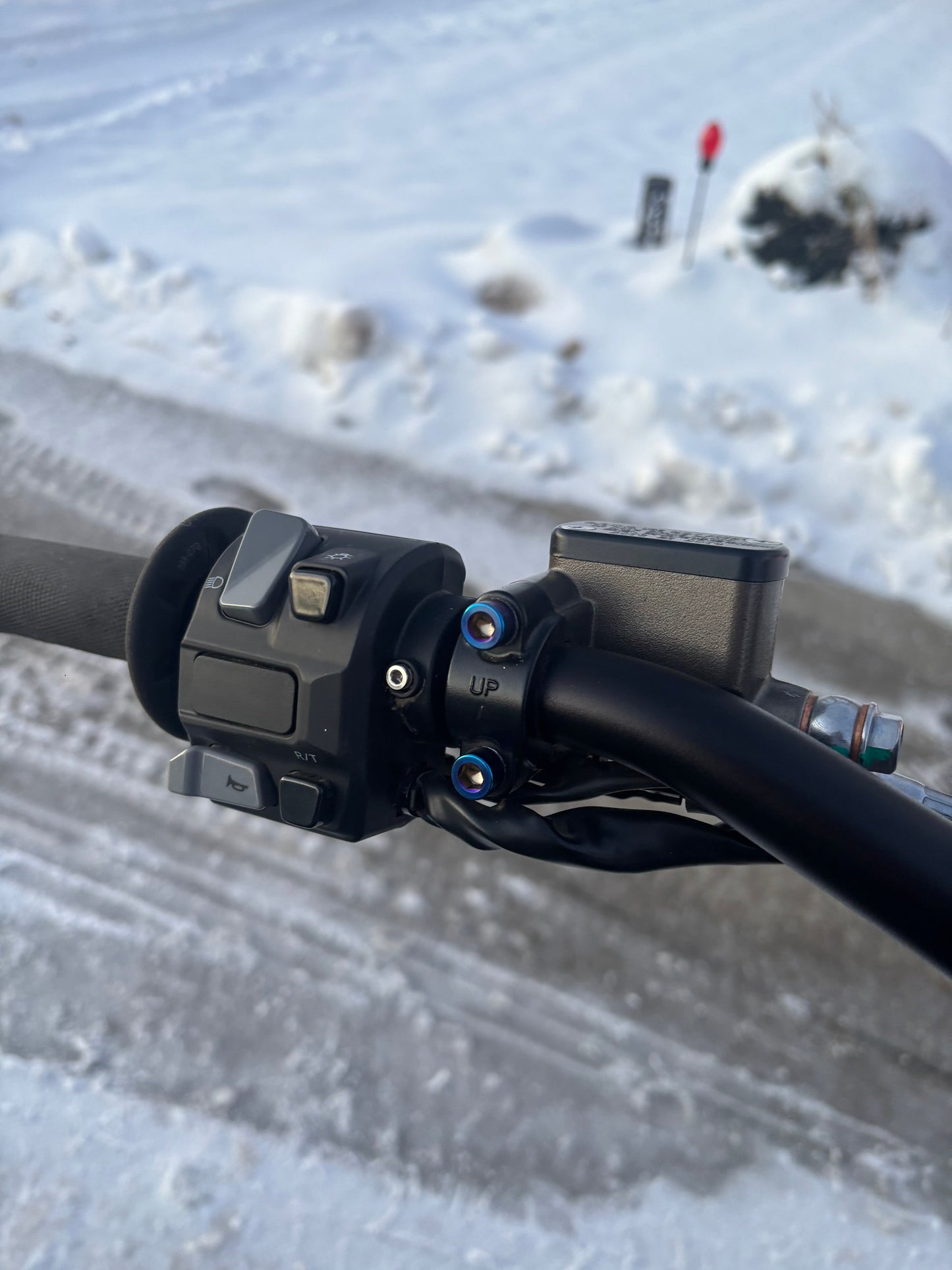 Ultra Bee Brake Mount Titanium Bolts
