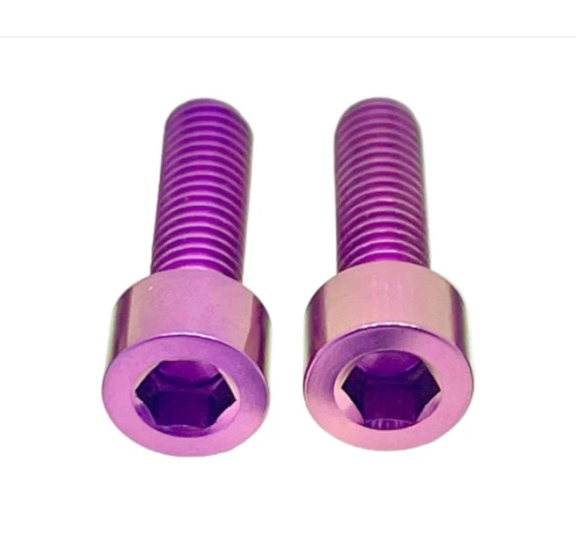 Ultra Bee Brake Mount Titanium Bolts